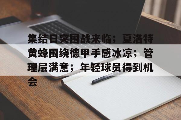 开云平台-集结日突围战来临；夏洛特黄蜂围绕德甲手感冰凉；管理层满意；年轻球员得到机会的简单介绍